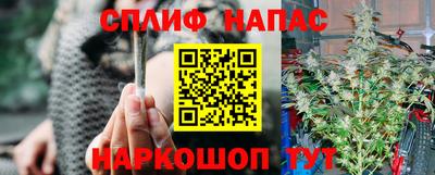 гашик Свободный