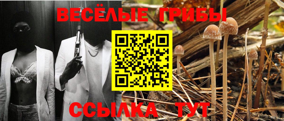 Галлюциногенные грибы мицелий Обнинск